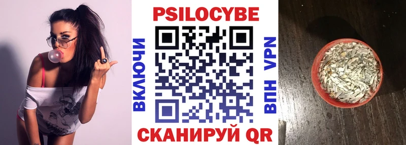 купить закладку  ссылка на мегу как войти  Псилоцибиновые грибы Psilocybe  Светлогорск 